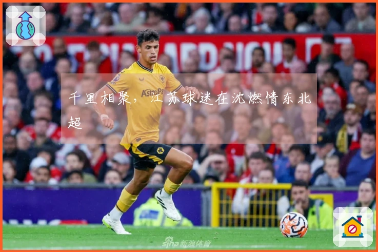 千里相聚，江苏球迷在沈燃情东北超